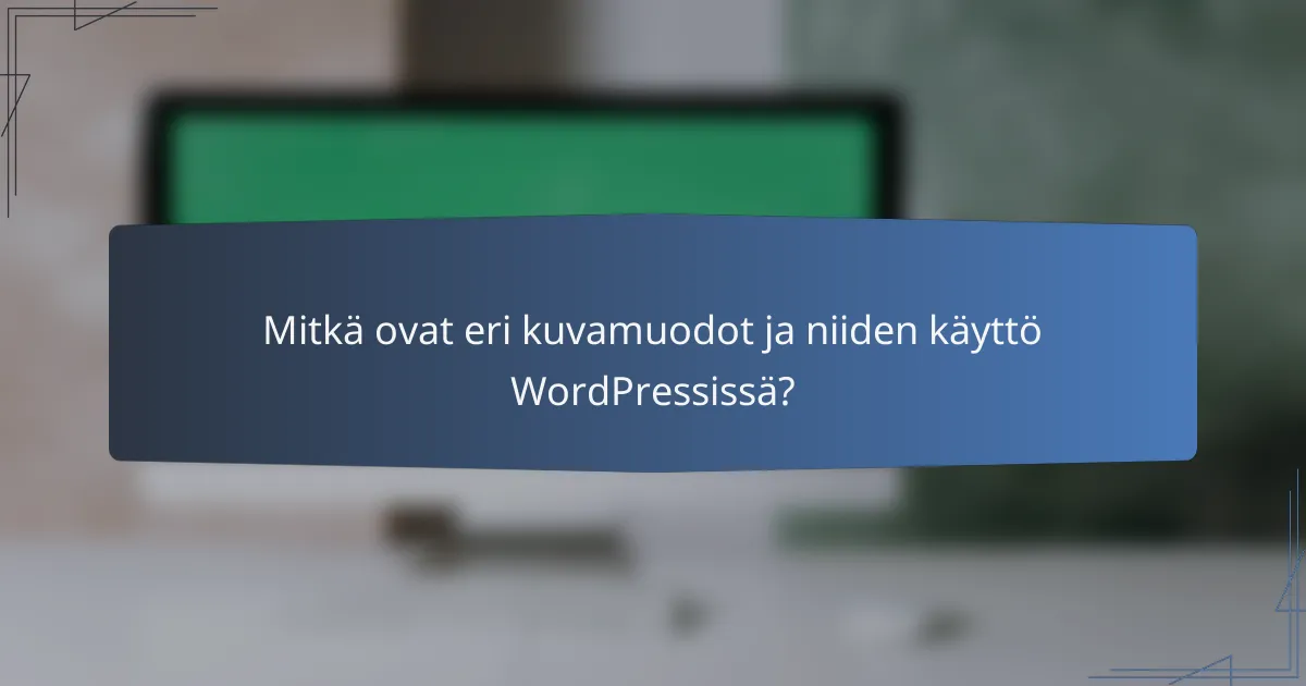 Mitkä ovat eri kuvamuodot ja niiden käyttö WordPressissä?
